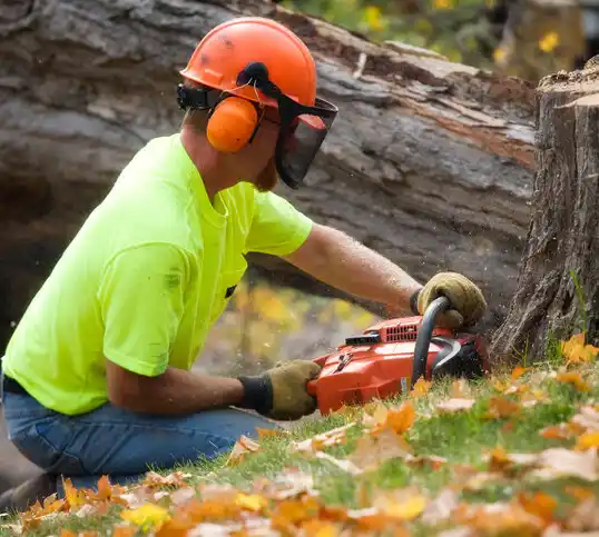 tree services Hopedale